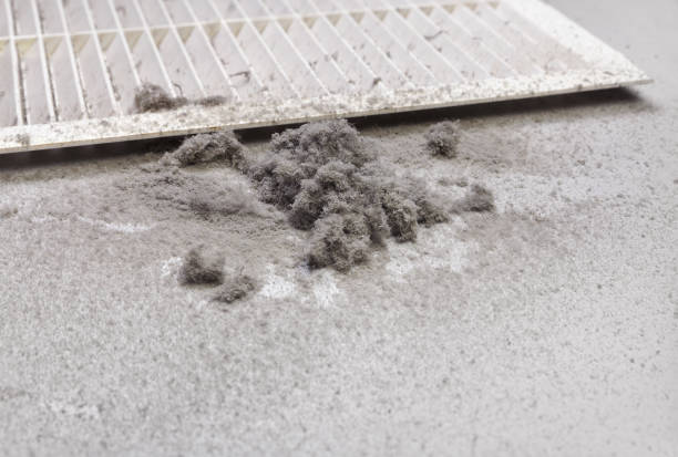 Best Affordable Duct Cleaning Services  in Elmo, TX