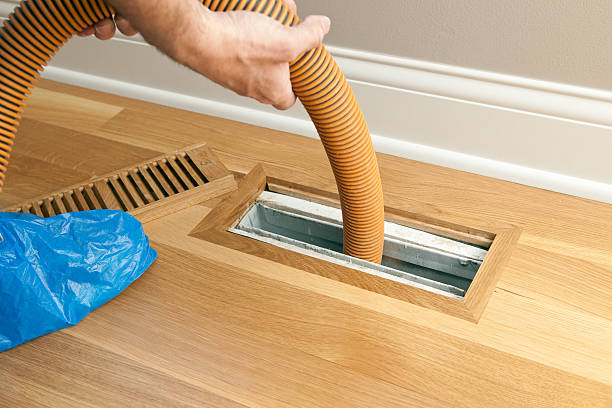 Best Air Duct Cleaning Company Near Me  in Elmo, TX