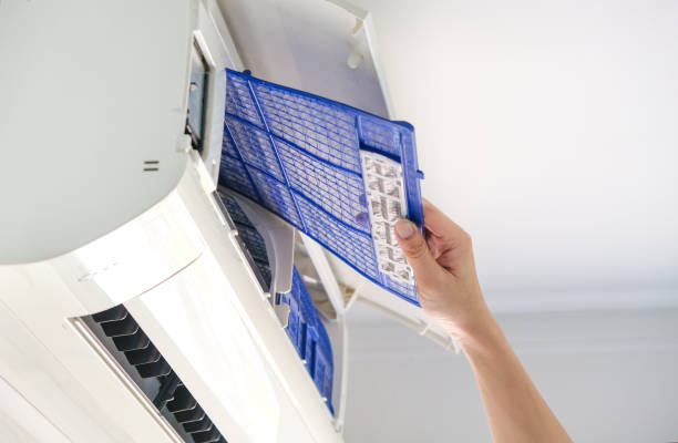 Best Air Duct Cleaning Near Me  in Elmo, TX